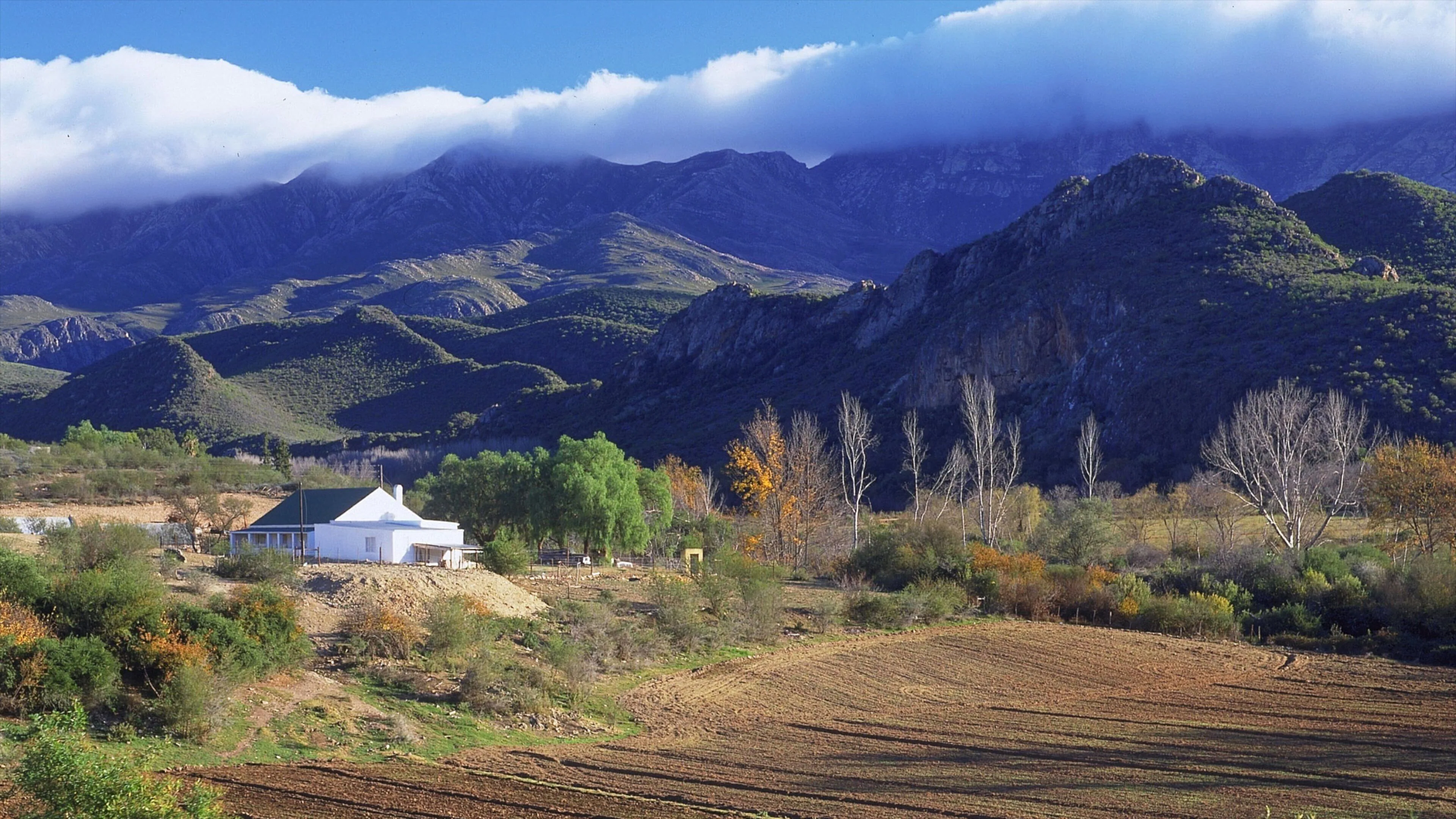 Oudtshoorn