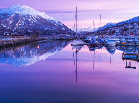 NARVIK, ICELAND