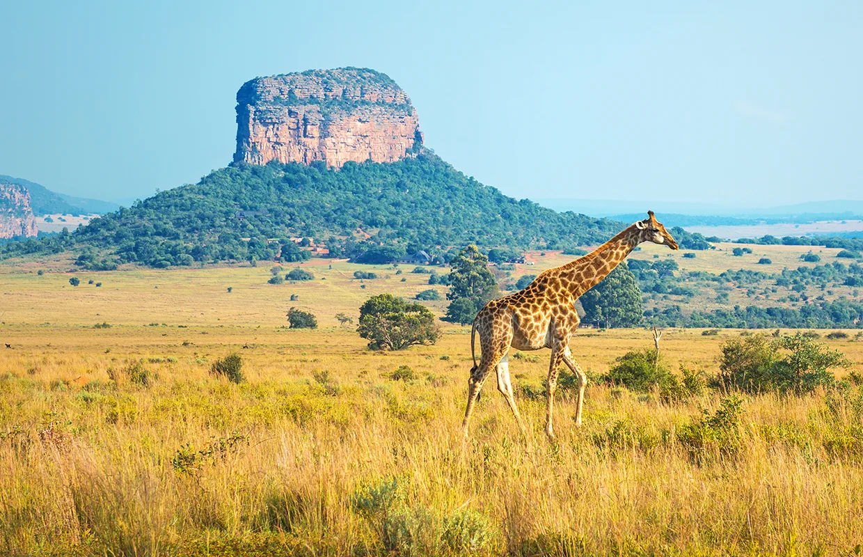 Kruger National Park