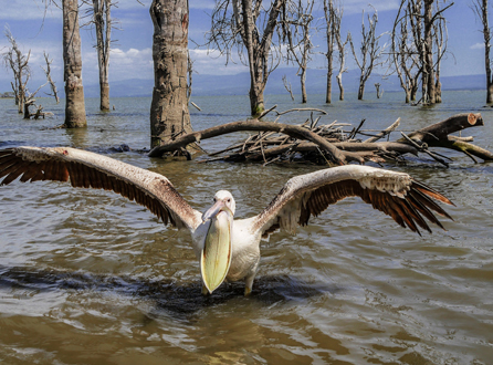 NAIVASHA, TANZANIA