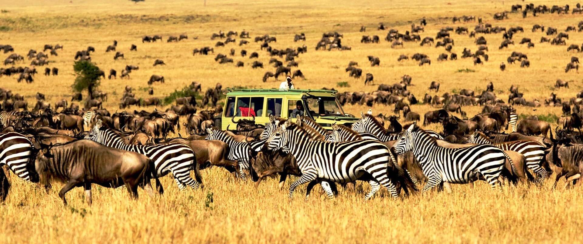 MASAI MARA, KENYA